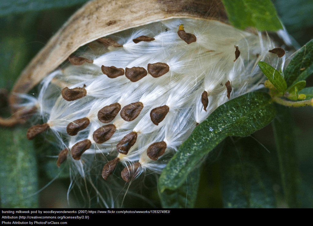 Reflections on #TheMathPod with Cathy Fosnot: The Meaning of&nbsp;Context